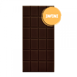 Tablette origine infini 100 % de cacao chocolat Gaucher